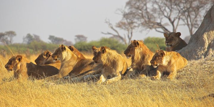 Serengeti National Park (1)