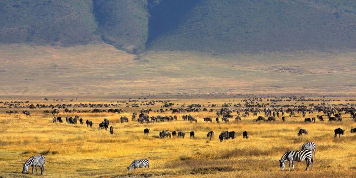 ngorongoro Crater